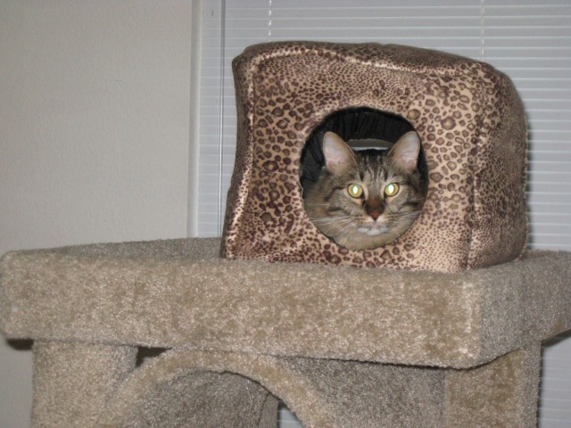 Max on the top floor