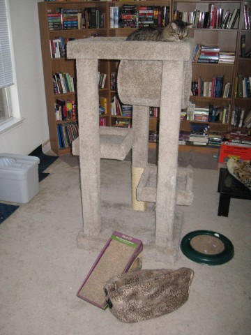 How did it get down there?