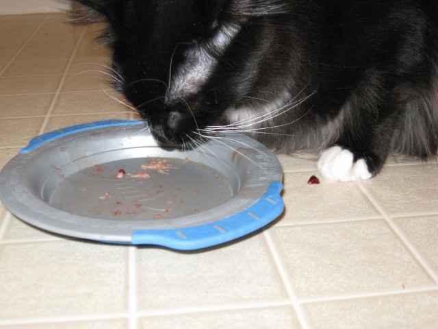 Note the absence of a tail on the plate now