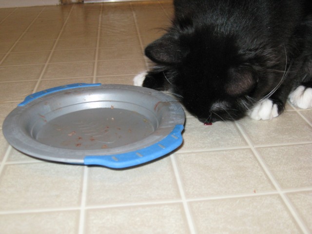 Dusty cleans the floor, too